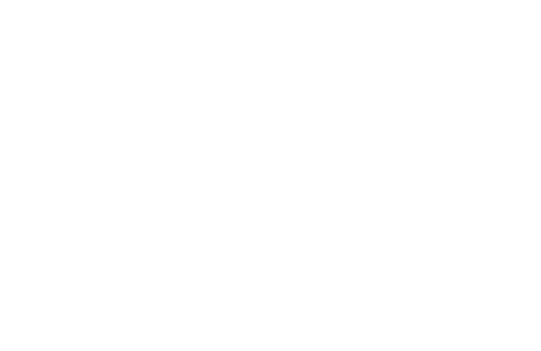 NADER SPRACHDIENSTE